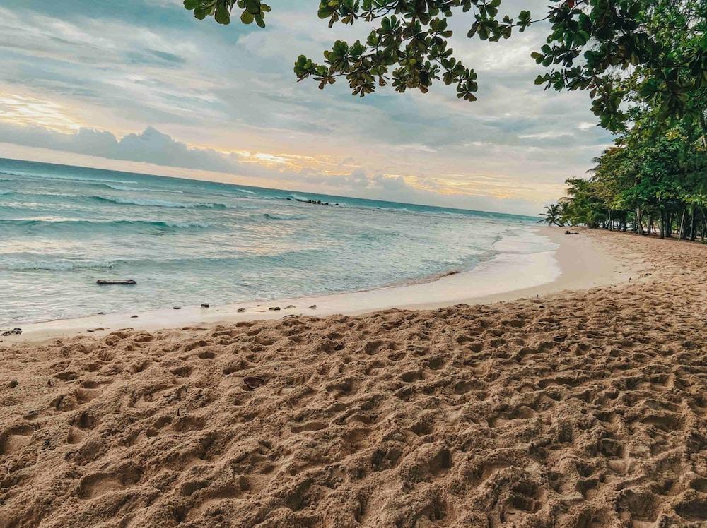 Savannah Beach Бриджтаун Екстериор снимка